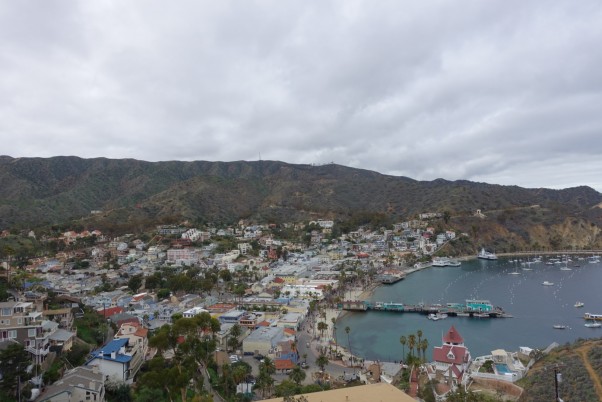 Catalina 1 day trip from carnival cruise ship what to do