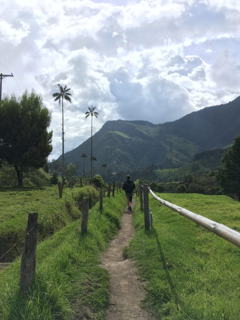 Hiking in the Valle de Cocora 3