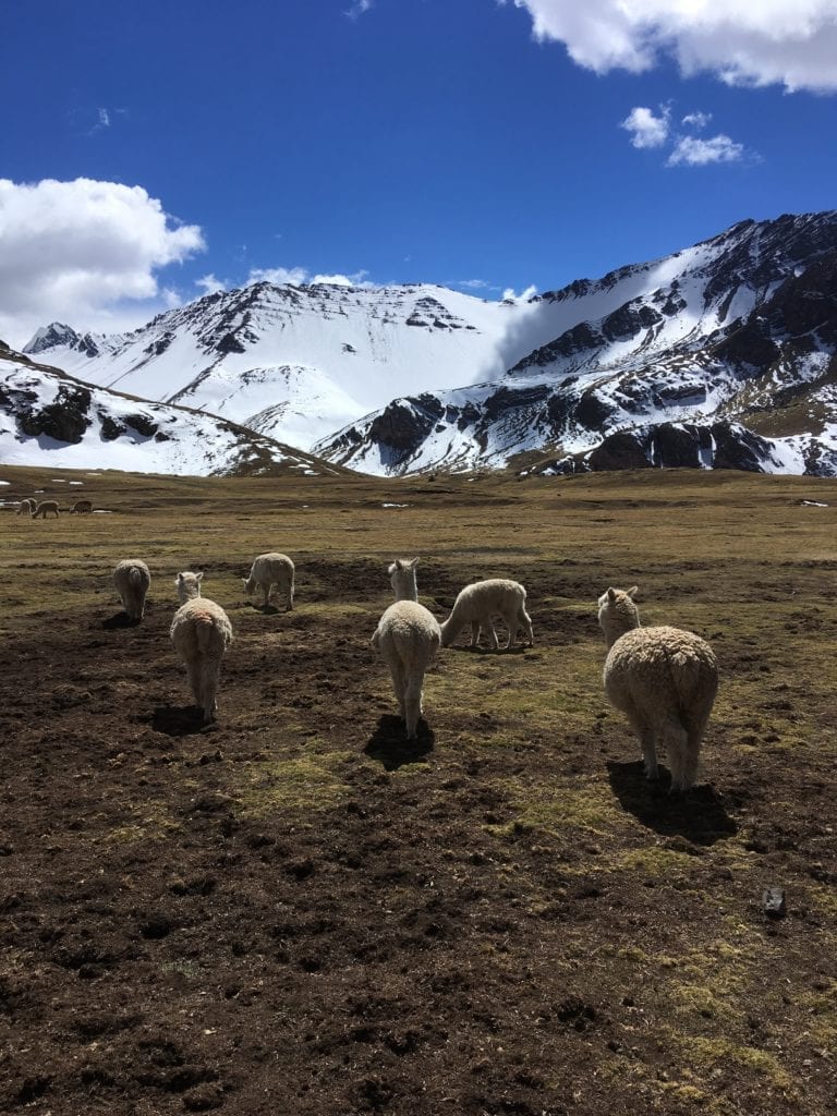 Rainbow mountain peru sacred valley travel itinerary and guide one week