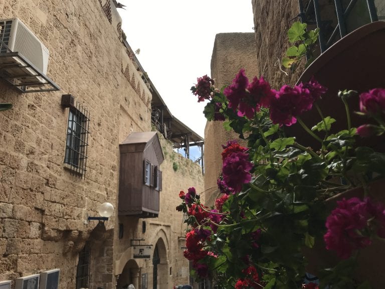 jaffa free walking tour tel aviv