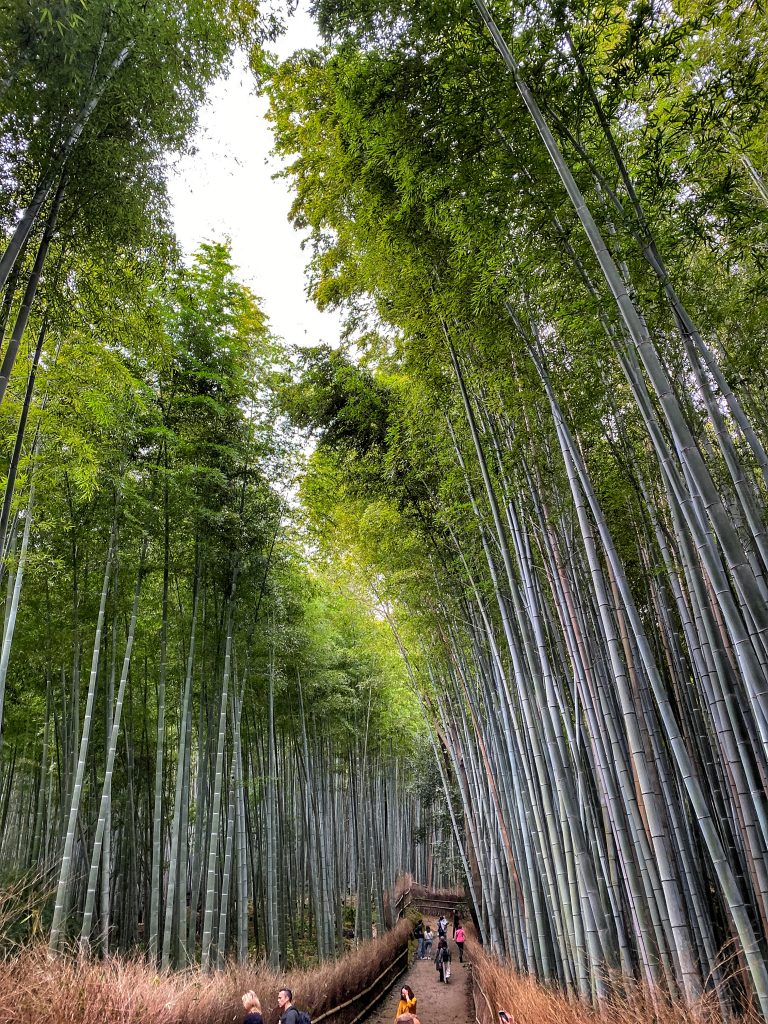 arashiyama japan review