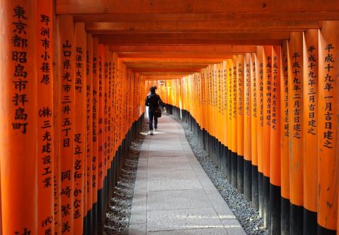 Travel Japan Itinerary 1 week: Tokyo Osaka Kyoto Hiroshima Miyajima Hakone Nara Fushimi Inari