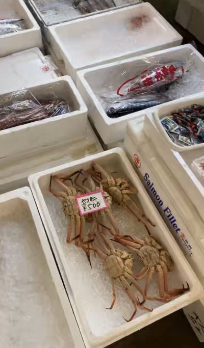 Fish Market in Osaka