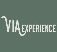 ViaExperience Logos